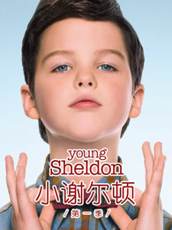 小谢尔顿 第一季封面