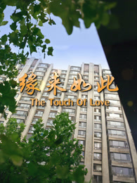缘来如此（2017）