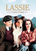 灵犬莱西 1943年版