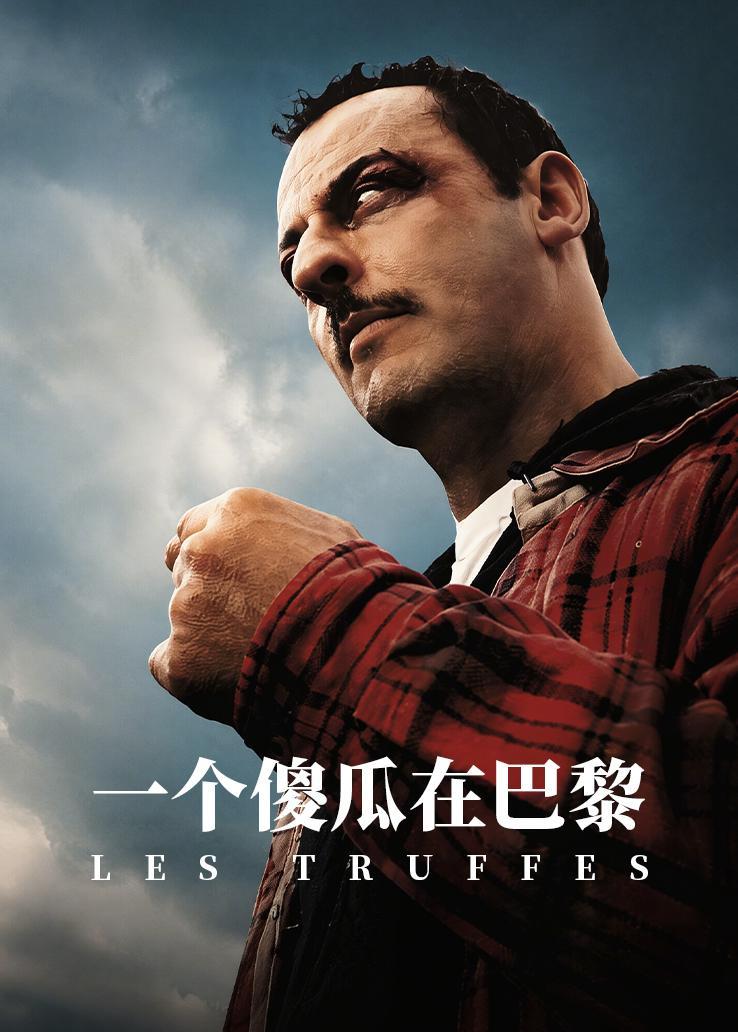 一个傻瓜在巴黎