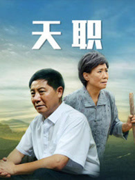 天职（2013）