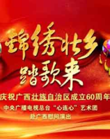 锦绣壮乡踏歌来中央广播电视总台心连心艺术团赴广西慰问演出