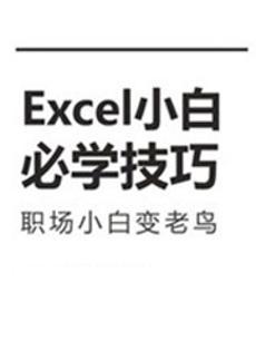 Excel小白必学技巧