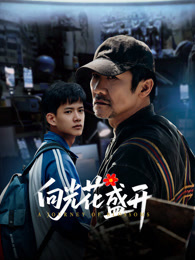 向光花盛开