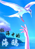 脑海中的海鸥