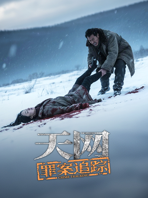 天网：罪案追踪