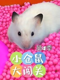 小仓鼠大闯关 第4季
