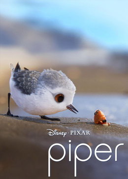 迪士尼皮克斯新作《Piper》封面