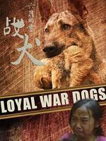 六月的雪之战犬