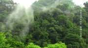 《地理·中国》 20200229 探秘自然保护区·鼎湖山谜迹 下