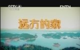 《沿海行》第102集 广东省阳江市《远方的家》20120425