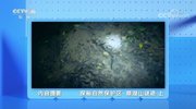 《地理·中国》 20200228 探秘自然保护区·鼎湖山谜迹 上