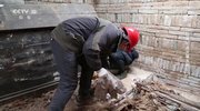 《探索·发现》 20200228 2020考古进行时 第一季 甘肃祁连大墓发掘记 （二）