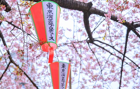 春日部市_360百科