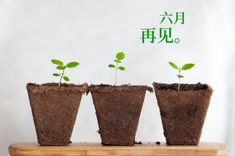 六月再见,七月你好电脑壁纸