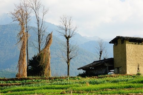 云南腾冲田园风景图片