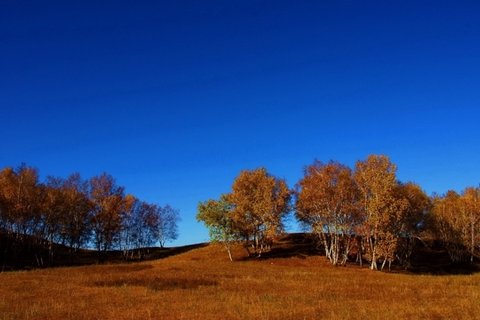 河北承德木兰围场风景壁纸