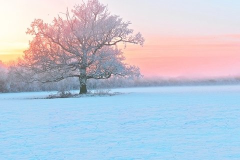 冬季唯美雪景图片壁纸