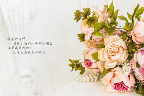 教师节经典语录