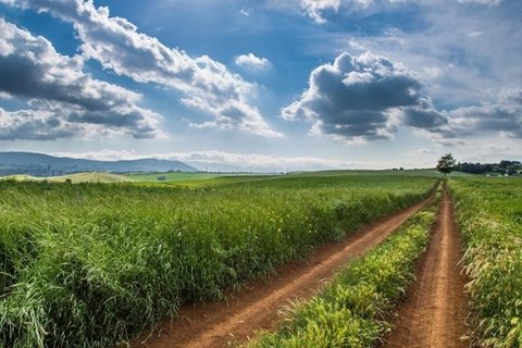 高清绿色护眼自然风景壁纸