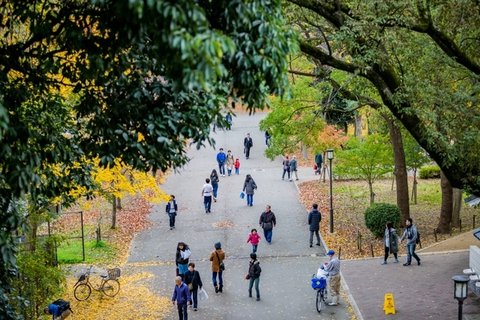 日本大阪迷人秋季风景图片