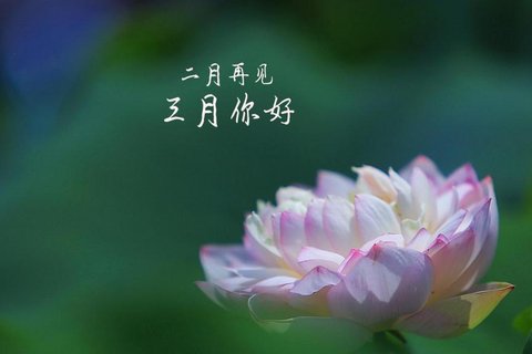 二月再见,三月你好