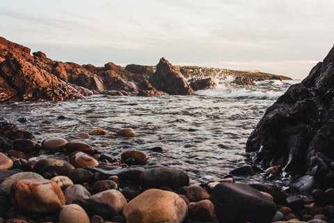 海岸浪花礁石图片