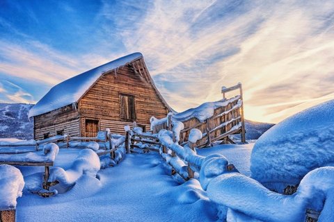 感受雪的魅力电脑壁纸