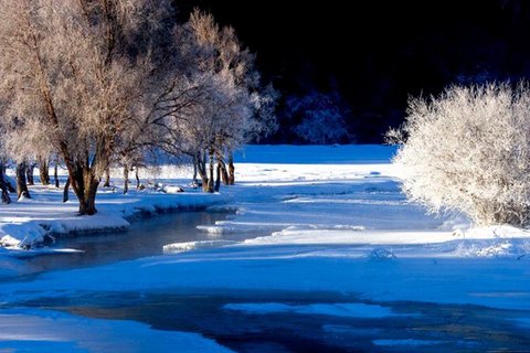 漠河的雪电脑壁纸