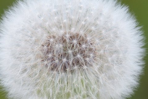 手机壁纸_电脑桌面_高清桌面壁纸_头像图片大全-52图片网