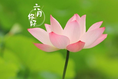 朋友圈六月你好暖心励志文案（新版）