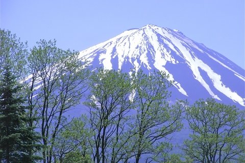 美丽的富士山图片