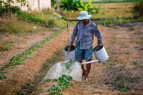 辛勤的农民伯伯务农图片