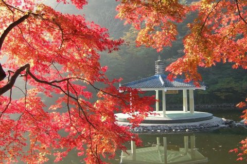 手机壁纸