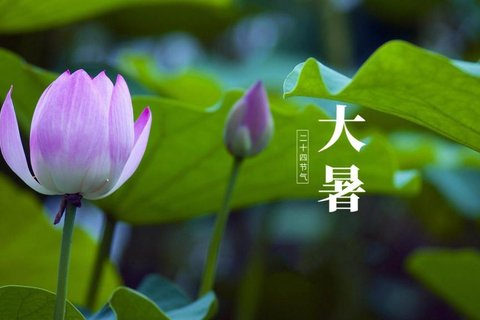 传统24节气大暑电脑壁纸