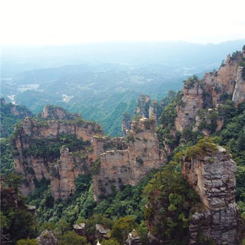 真实风景头像图片