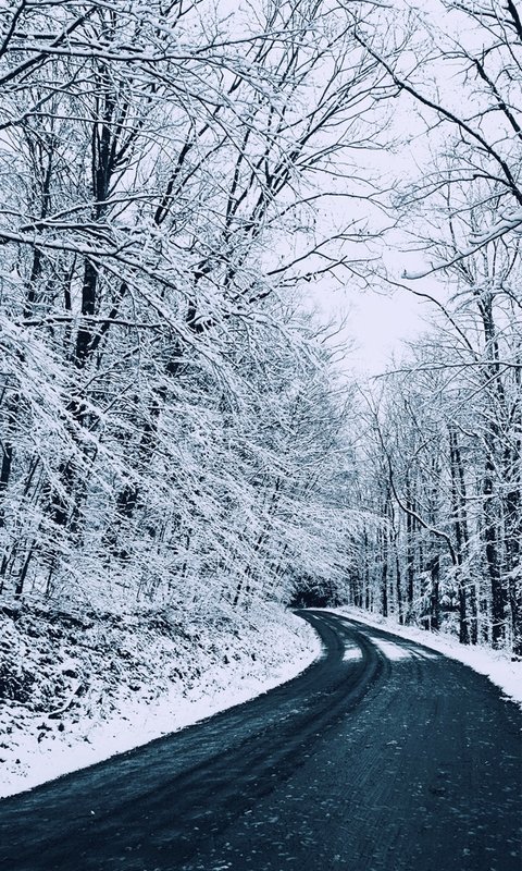 冬日森林公路优美雪景