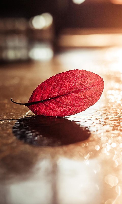 华为p8官方壁纸