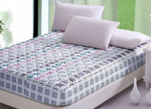 香蒲草床垫和椰棕床垫有何区别