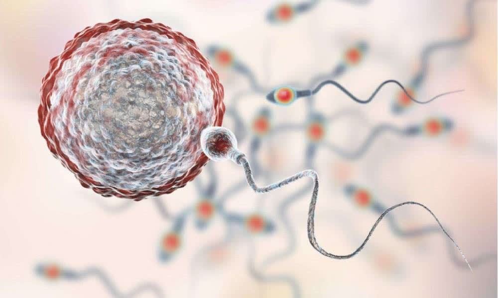 精子在女性体内是怎样活动的?显微镜放大2000倍,看完不要偷笑