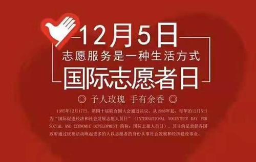 联合国志愿人员在技术,经济和社会发展领域服务,他们的主要工作内容