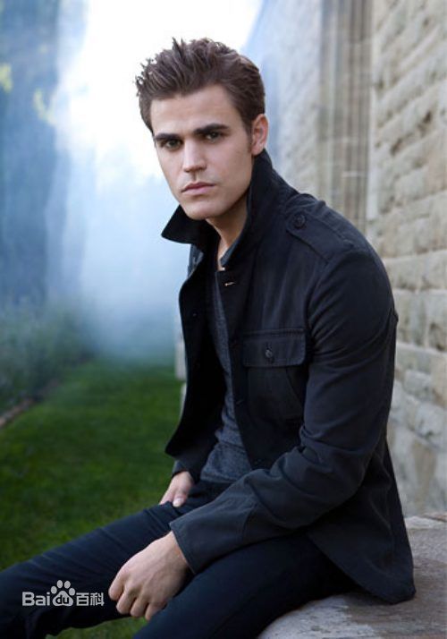 求吸血鬼日记里 stefan无水印高清截图或者美图 还有se或sc的高清截图