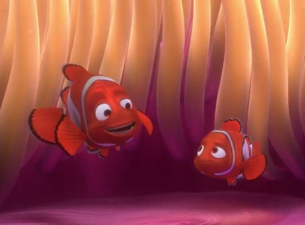 《海底总动员》片段:莫林溺爱尼莫各种不放心