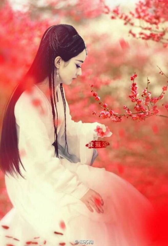 白衣黑边拿伞红花雪天望天古装动漫手绘女子,跪求图片!
