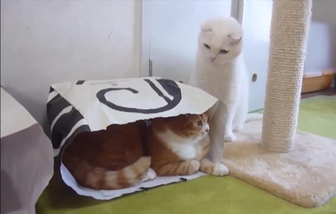 360影视 影视搜索 360影视 影视搜索