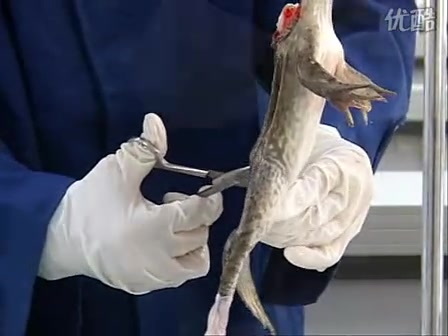 360影视-影视搜索