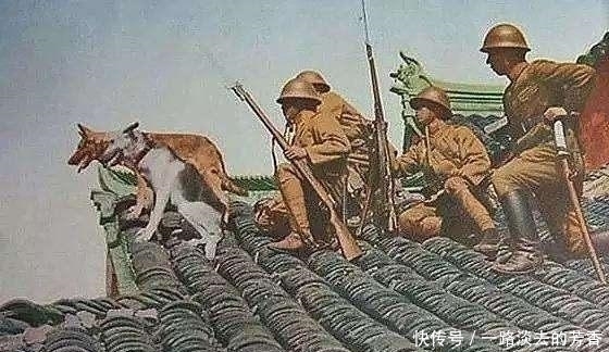 整个日本值多少钱