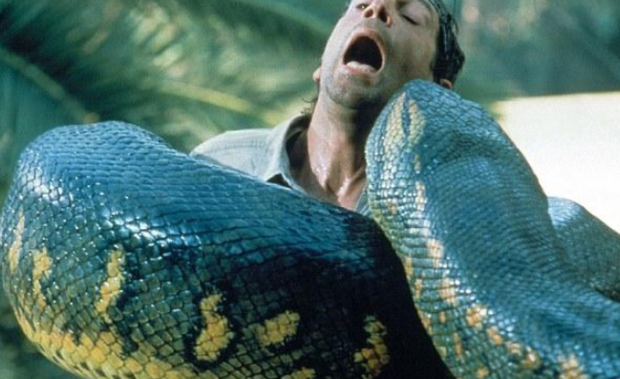 蟒蛇能吞食人吗?