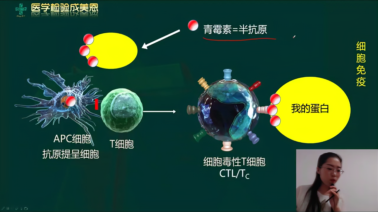 [图]检验职称/事业编制-免疫学检验:四型超敏反应