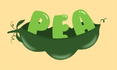 豌豆英语怎么读